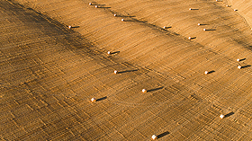 【熱門影音】亞洲：全方位實踐ESG