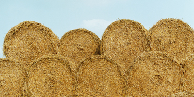 Investor resources