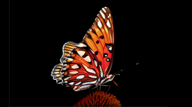 【滙豐 X ESG 講堂】 滙豐《2021全球永續投資調查》圖解亞洲現況(文)