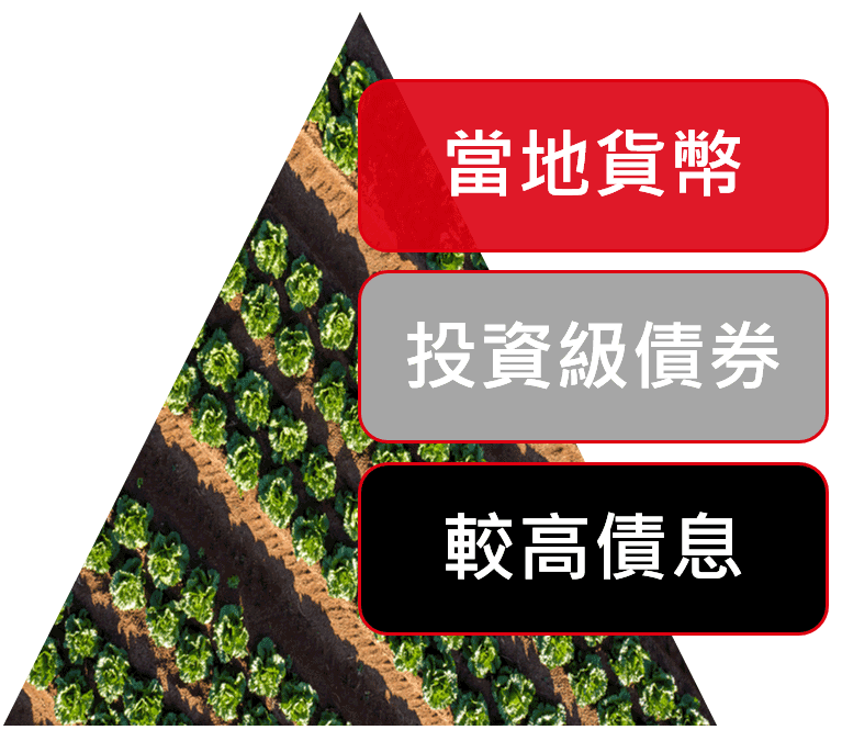 當地貨幣 + 投資級債券 + 較高債息 = 相對較佳表現的機會